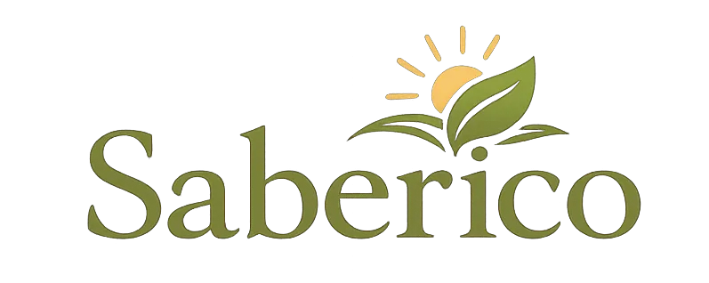 restaurantesaberico.com